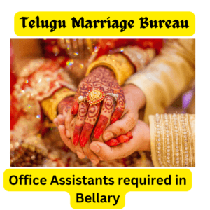 Read more about the article Office assistants Required